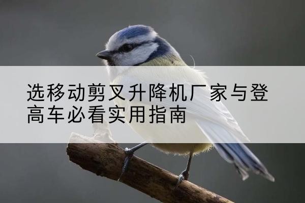 沧州电动升降机厂家-选移动剪叉升降机厂家与登高车必看实用指南
