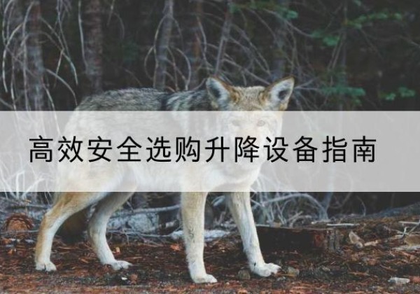 沧州升降货梯厂家推荐-*安全选购升降设备指南